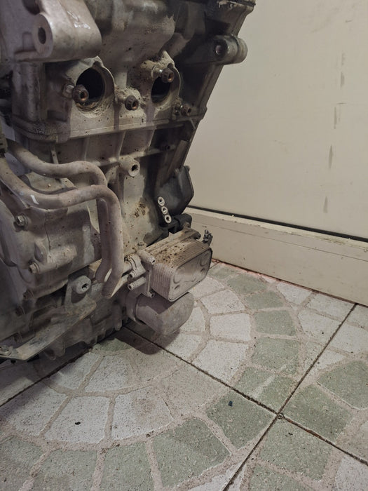 Image #8